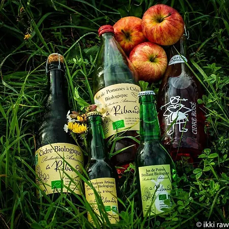 Libera Colombelles מלון 3*