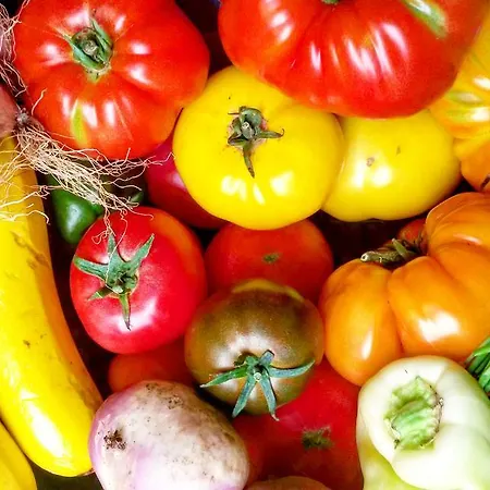 Libera Colombelles 3* קאין