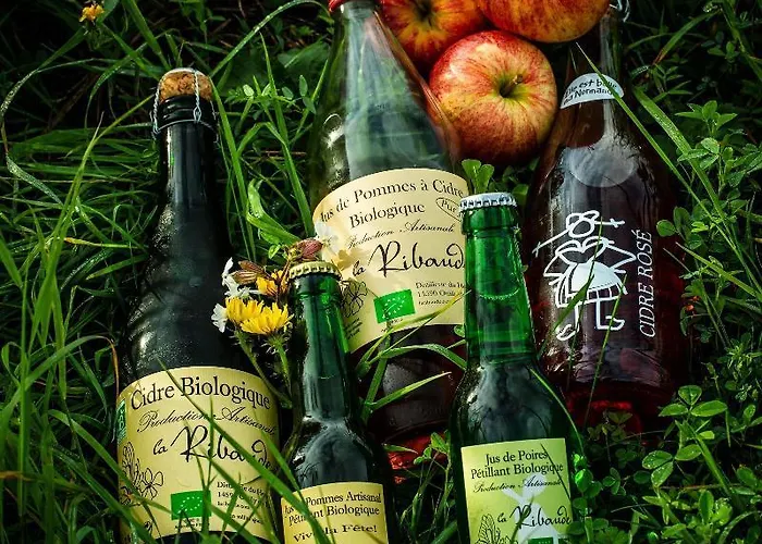 Libera Colombelles Hotel 3*