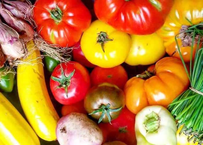 Libera Colombelles 3* Caen